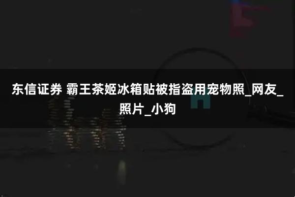 东信证券 霸王茶姬冰箱贴被指盗用宠物照_网友_照片_小狗