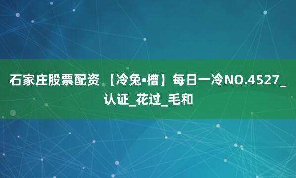 石家庄股票配资 【冷兔•槽】每日一冷NO.4527_认证_花过_毛和