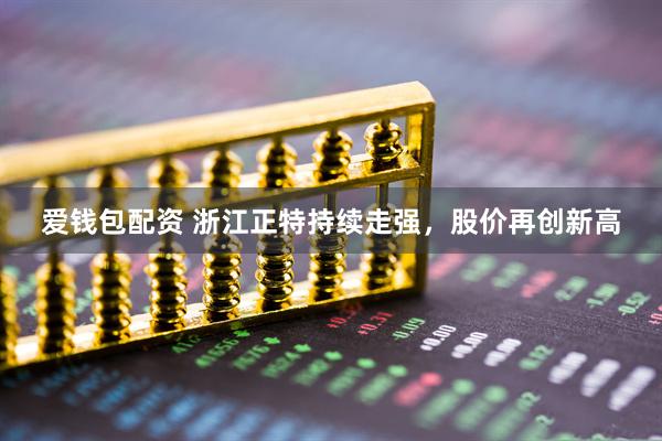 爱钱包配资 浙江正特持续走强，股价再创新高