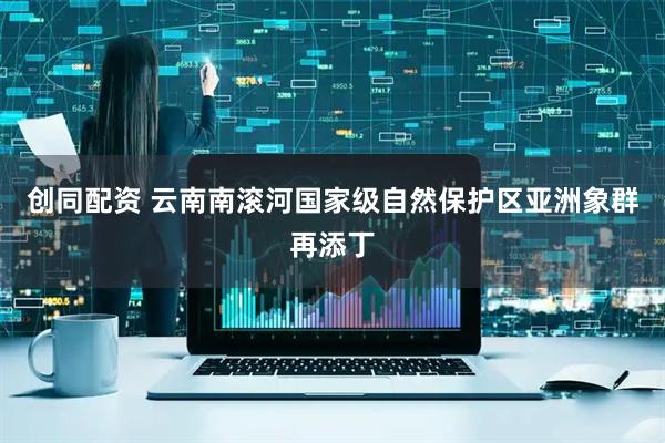 创同配资 云南南滚河国家级自然保护区亚洲象群再添丁